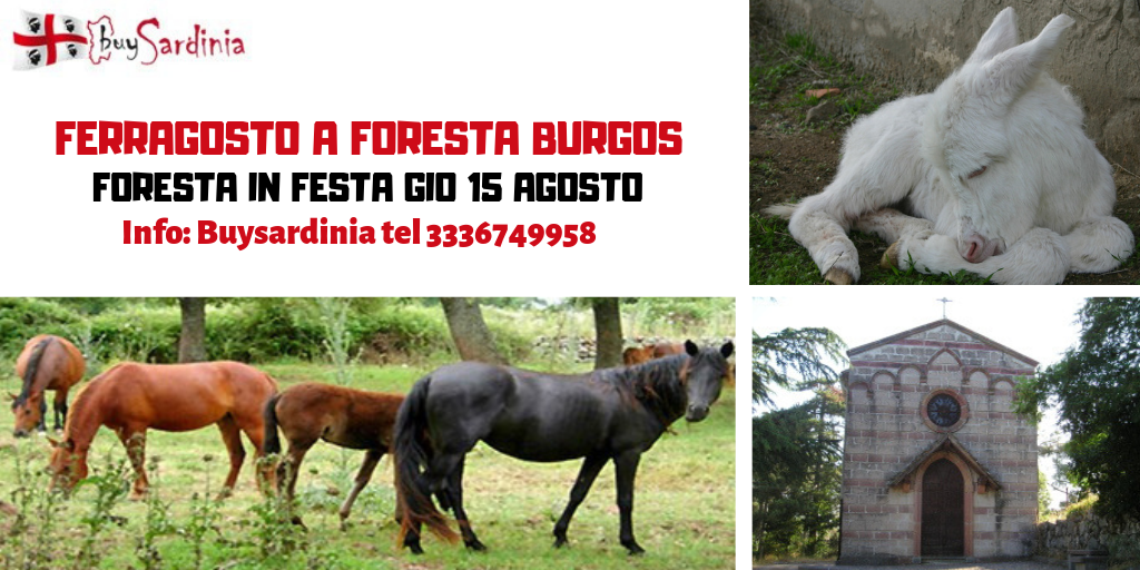 FERRAGOSTO A FORESTA BURGOS: GIO 15 AGO