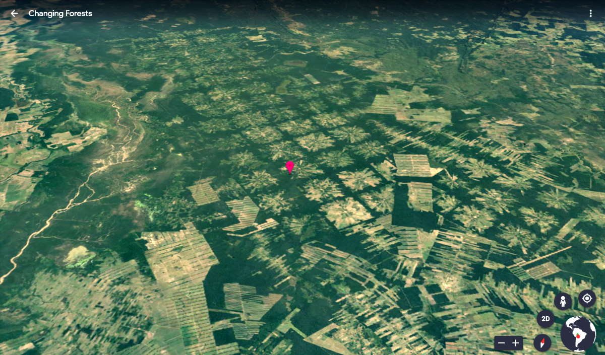 Google Earth lancia Timelapse per mostrare la rapidità di deforestazione e urbanizzazione dal 1984 al 2020