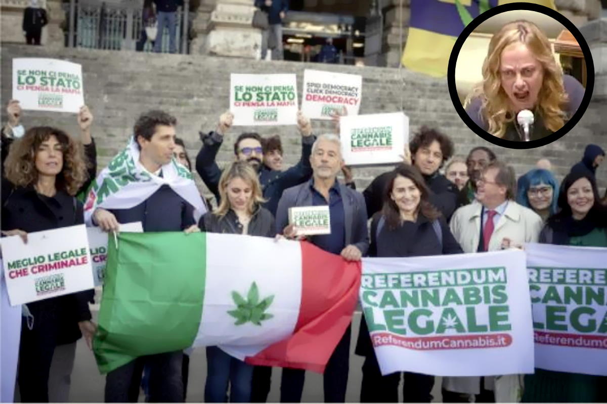 Neanche il tempo di depositare le firme per il referendum pro cannabis che la sora Giorgia è già andata fuori di Meloni