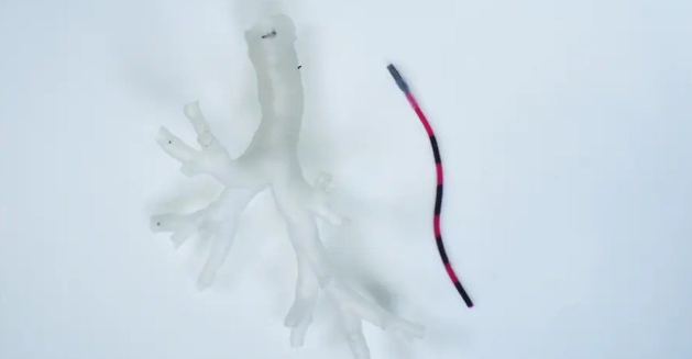 Nuova scoperta in campo Robotica Biomedica, per i polmoni.