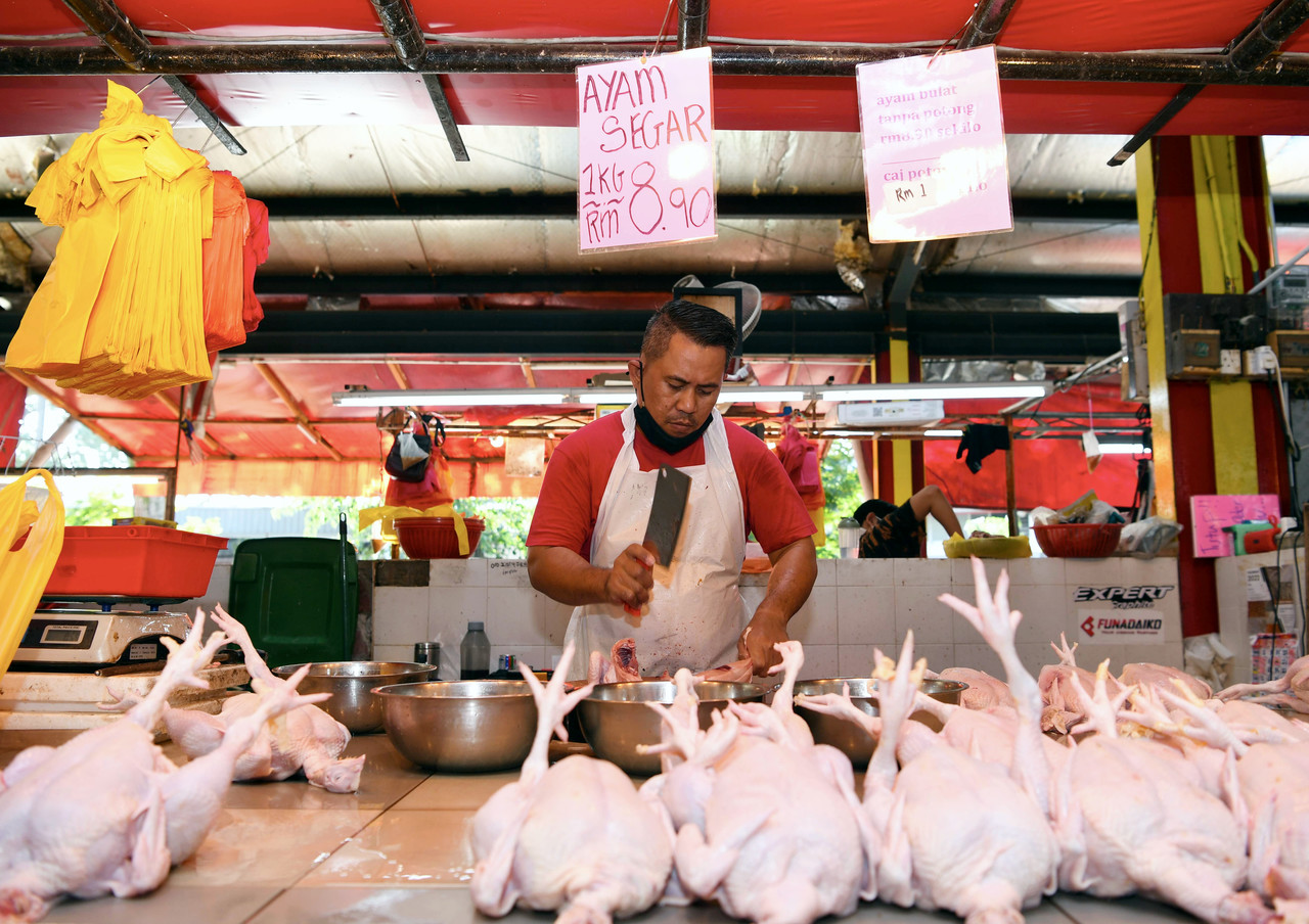 La Malaysia blocca le esportazioni di pollo, timori a Singapore