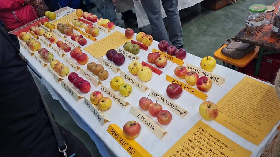 Chiamata a raccolto a Seren del Grappa, scambio di semi per salvare la biodiversità