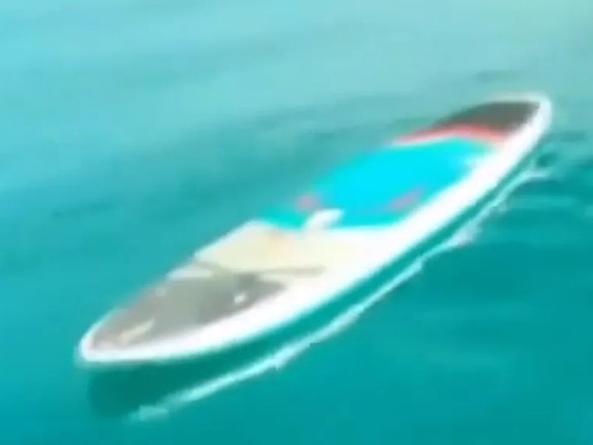 Turista morre em um ataque de tubarão durante stand up paddle