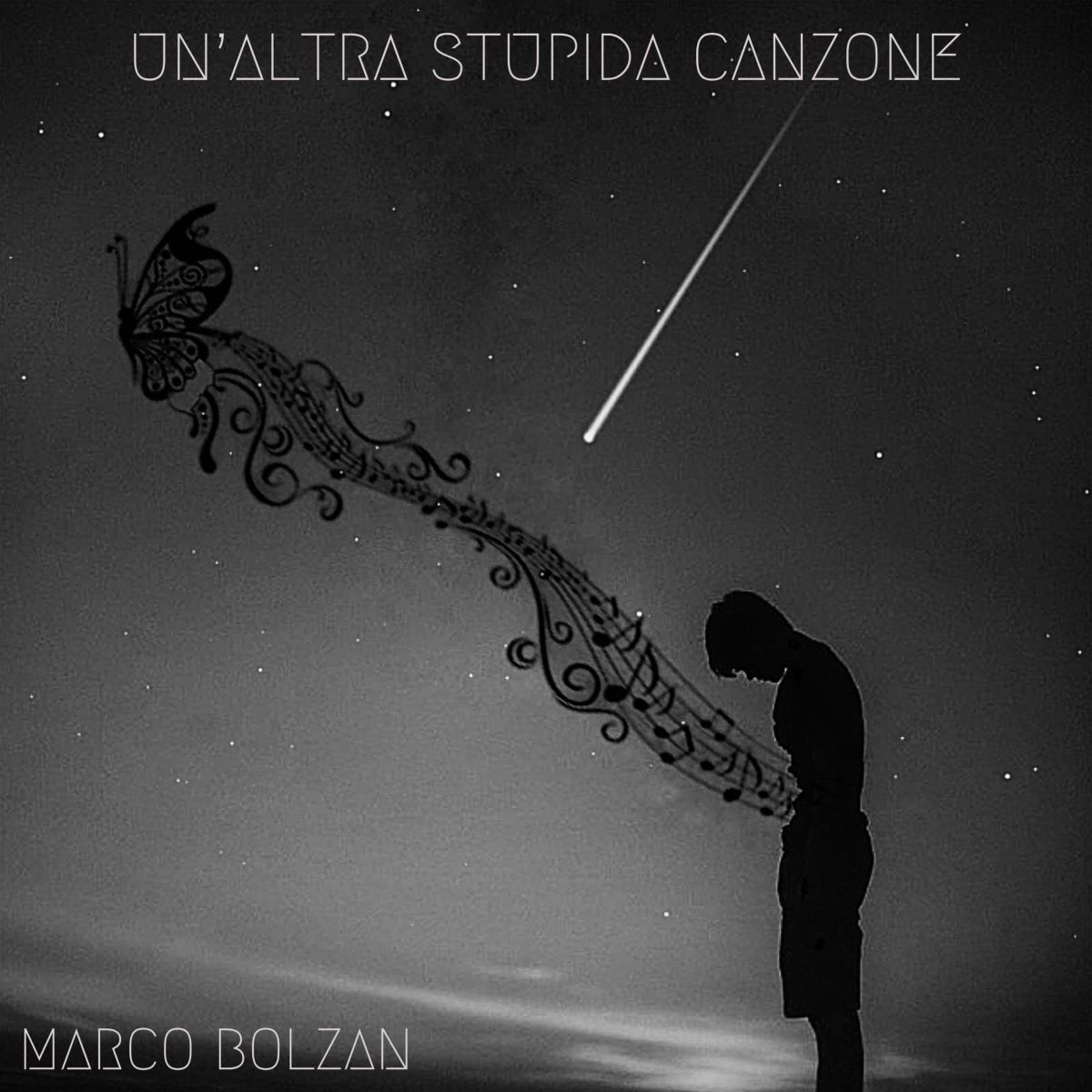 Marco Bolzan - Il singolo “Un'altra stupida canzone”