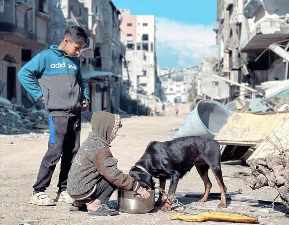 15 organizzazioni internazionali chiedono che la fame non sia usata come arma di guerra a Gaza
