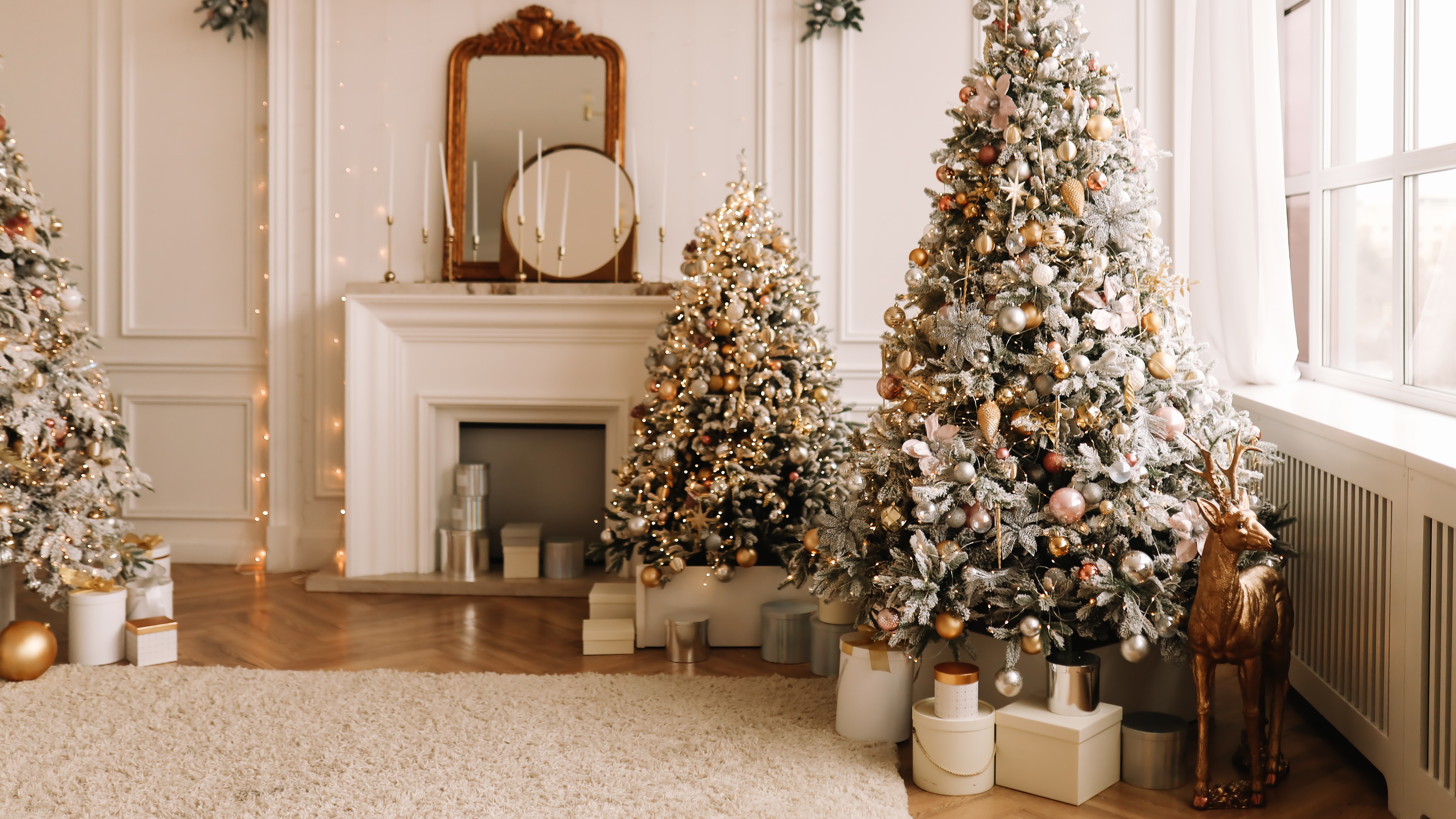 L'origine dell'albero di Natale non è pagana (ma cristiana)