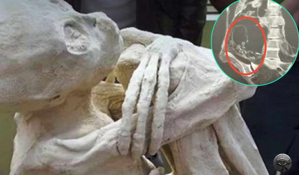 Mummie aliene di Nazca: nuove prove sconvolgenti