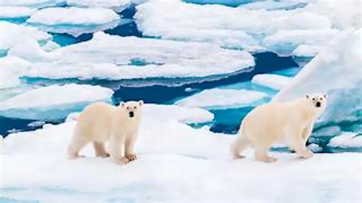 Inverno artico in crisi: pioggia, fango e ghiaccio che si scioglie al posto della neve