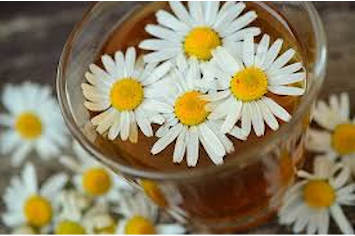 Tisane naturali ed infusi benefici