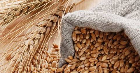 I grani antichi, base naturale dell'Alimento Primo