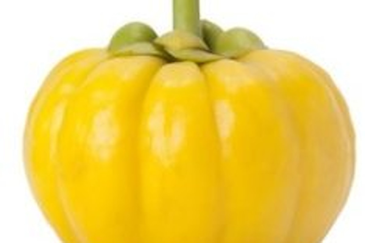 Garcinia cambogia proprietà e benefici