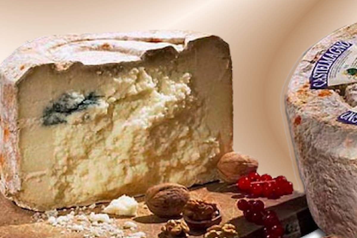 Castelmagno DOP, un formaggio con mille anni di storia