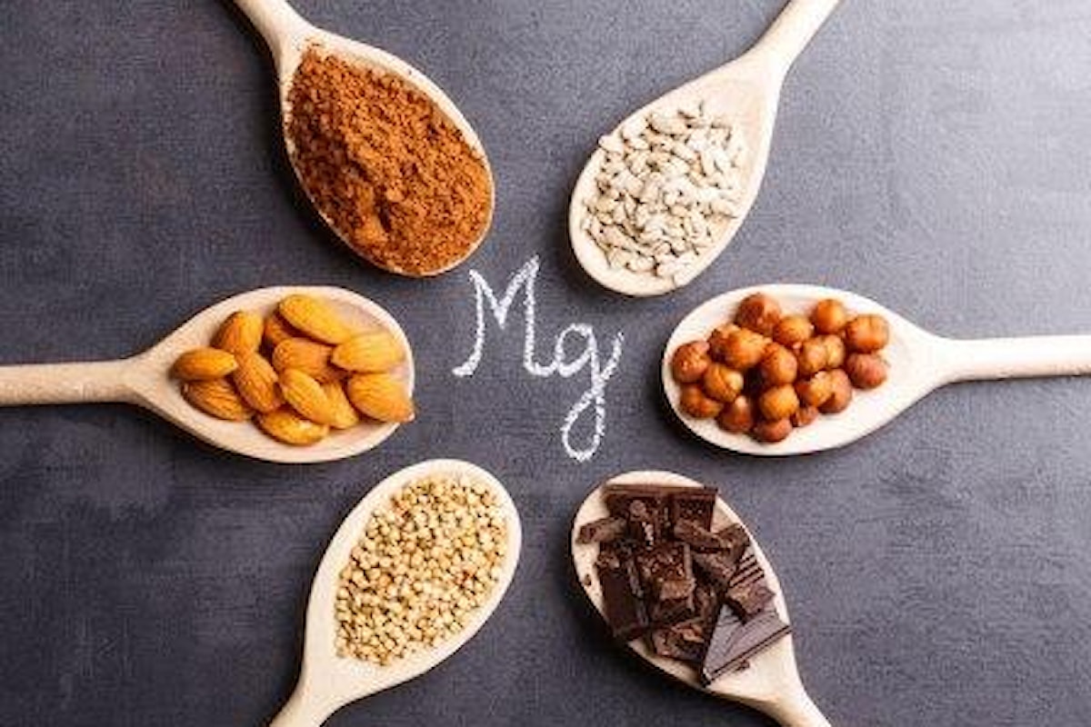 L'importanza del Magnesio, in quali alimenti si trova ed i pericoli della carenza di Magnesio per la salute.