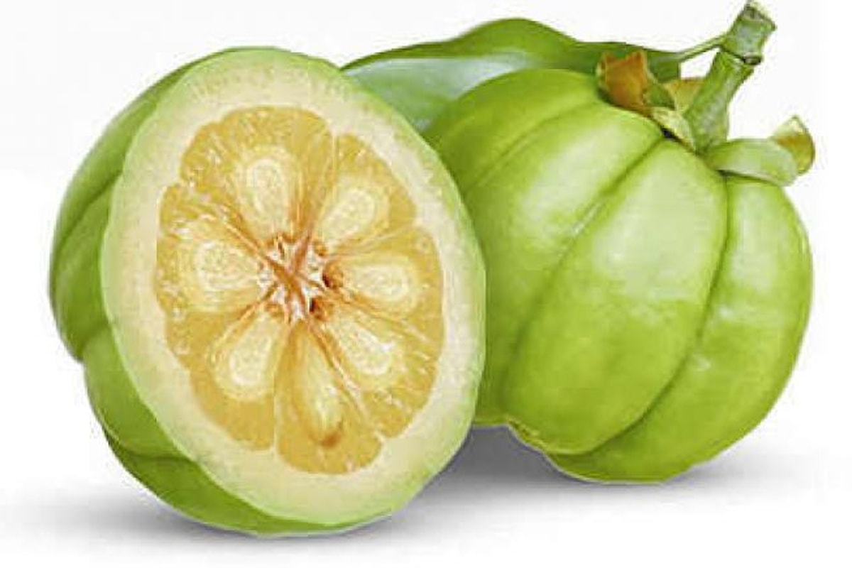 Garcinia, la pianta catturagrassi