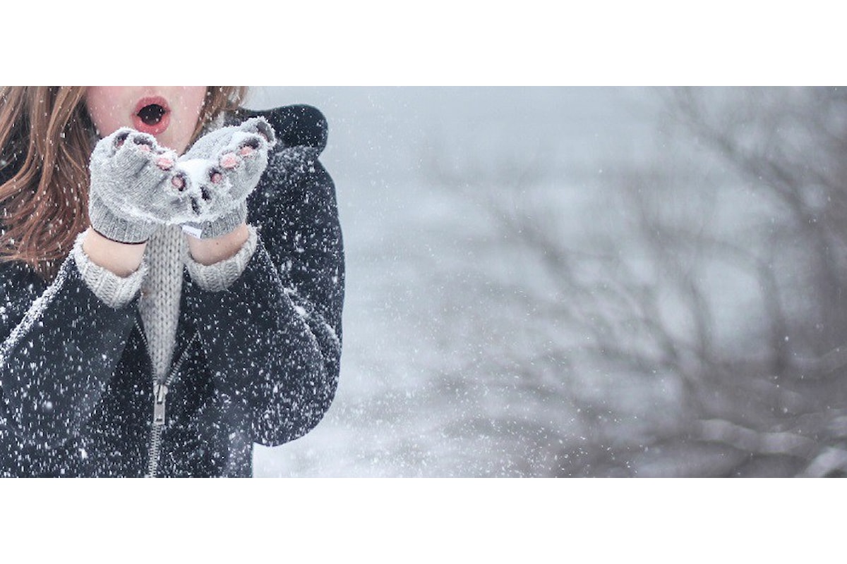 Vivi il giardino anche in Inverno: ecco come