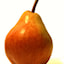 gambefelici