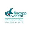 Associazione Fincopp Veneto